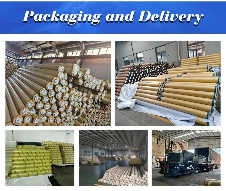 product-790-668 product-790-668